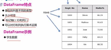 Python數(shù)據(jù)處理 從入門到精通