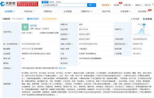 盧偉冰卸任小米之家科技公司高管職務，公司數據處理業務引關注